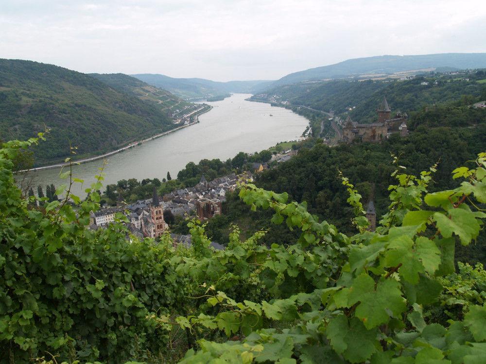 Landgasthaus Rosenhof Trechtingshausen Dış mekan fotoğraf